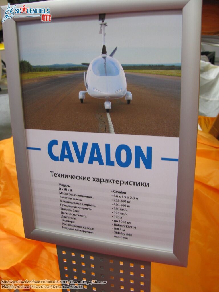 cavalon_0031.jpg