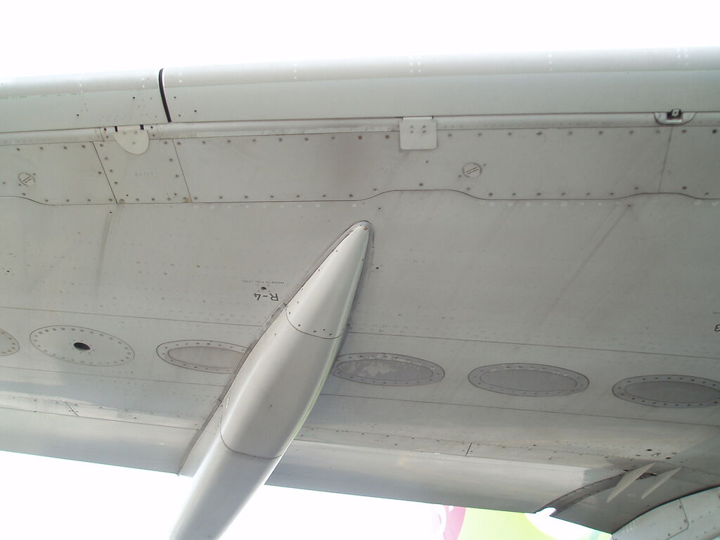 P5110074