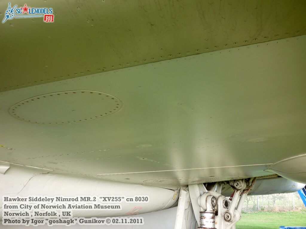 extNimrod250.jpg