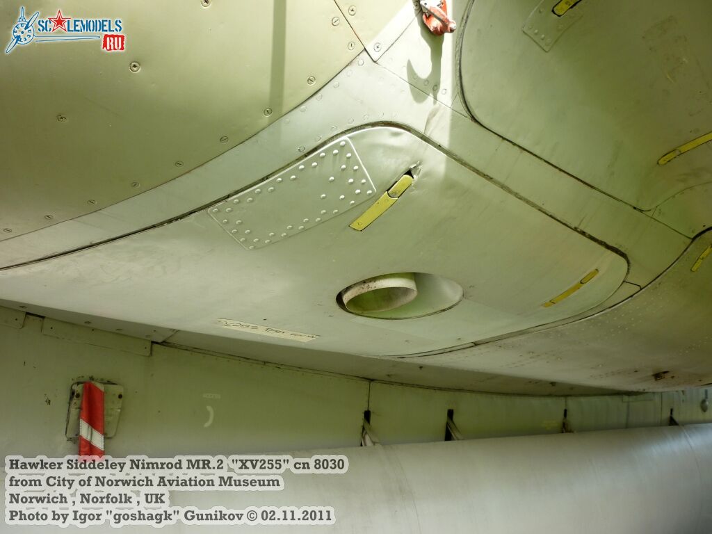 extNimrod239.jpg