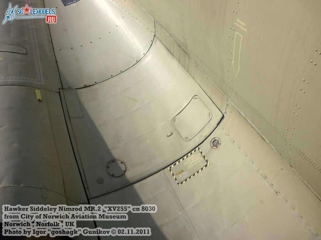 extNimrod229.jpg