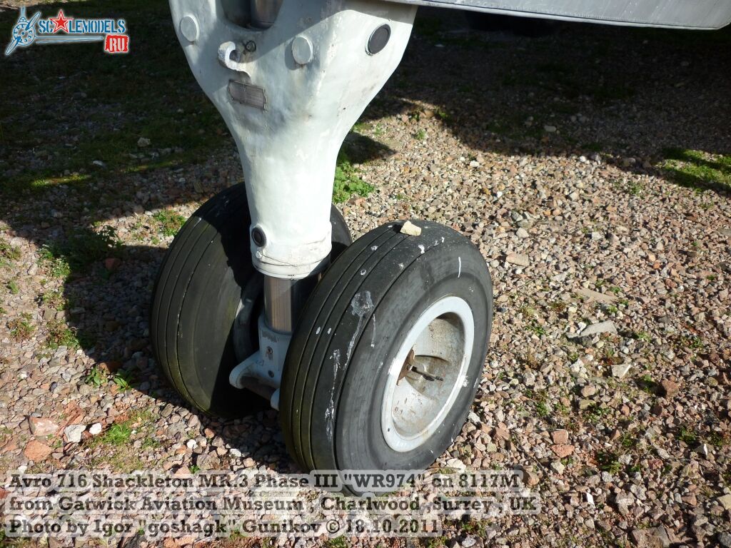 WR974163.jpg
