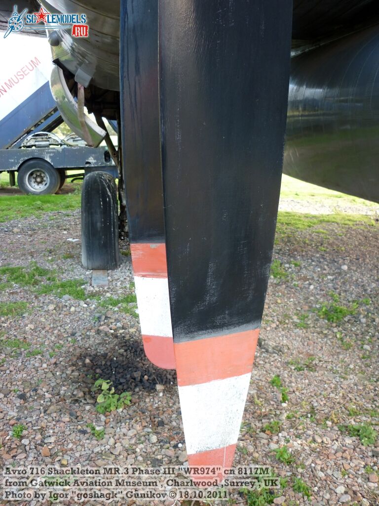 WR974155.jpg