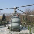 Ka-25Ts_Hormone_0176.jpg