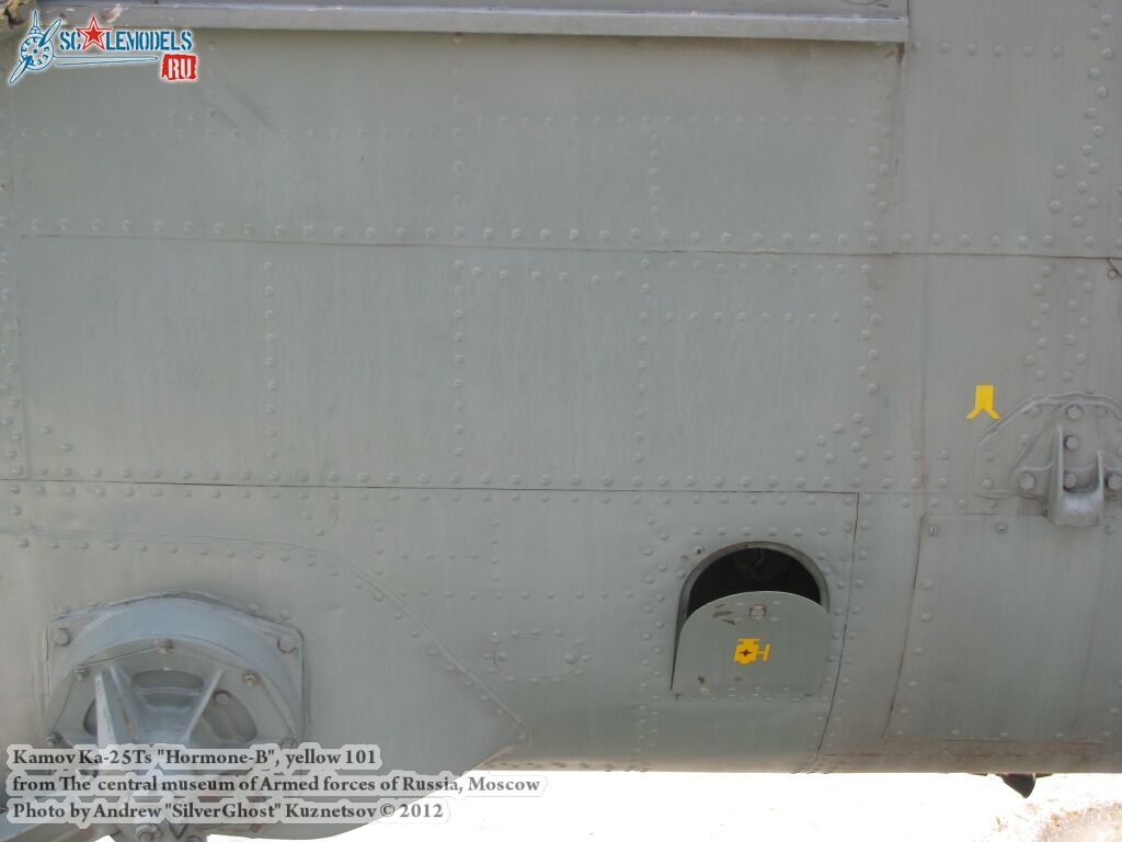 Ka-25Ts_Hormone_0260.jpg