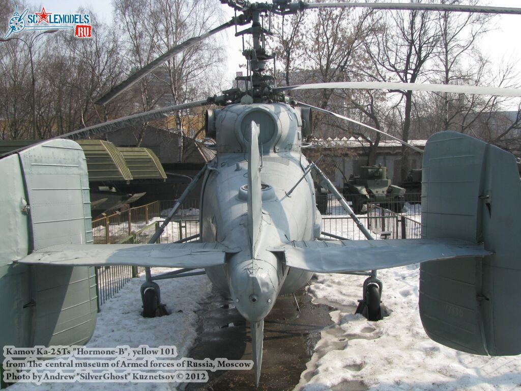 Ka-25Ts_Hormone_0375.jpg