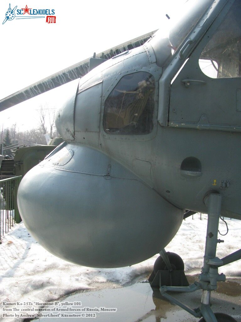 Ka-25Ts_Hormone_0427.jpg