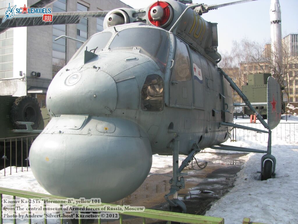 Ka-25Ts_Hormone_0428.jpg