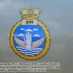 seah37.jpg