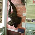 airborne_museum_0013.jpg