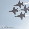 Toronto_air_show_0054.jpg