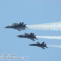 Toronto_air_show_0137.jpg