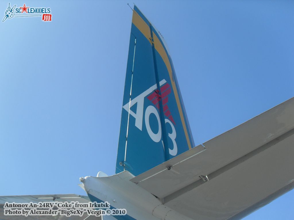 100.JPG