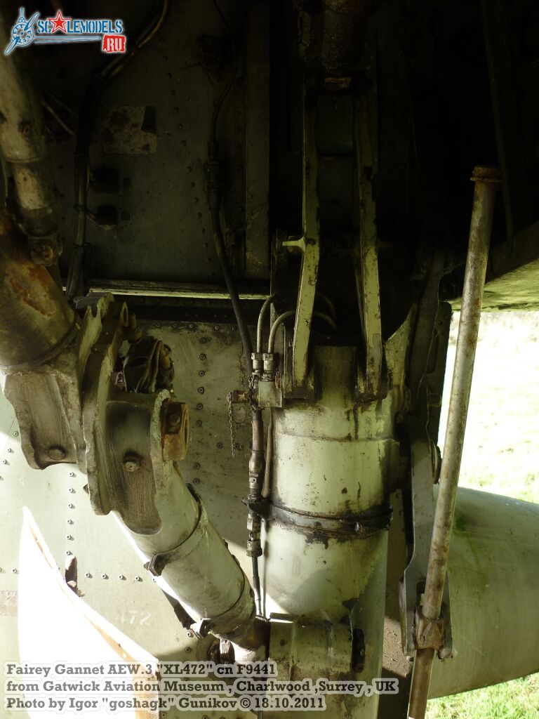 GanAEW56.jpg