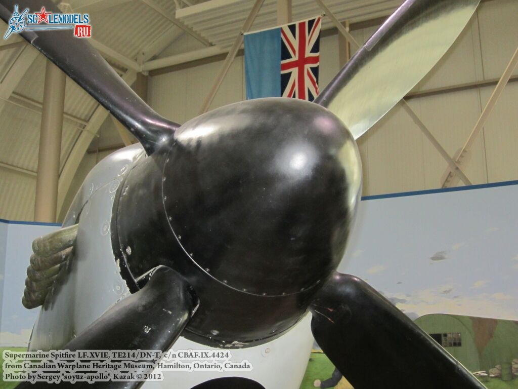 Spitfire_XVIe_0083.jpg