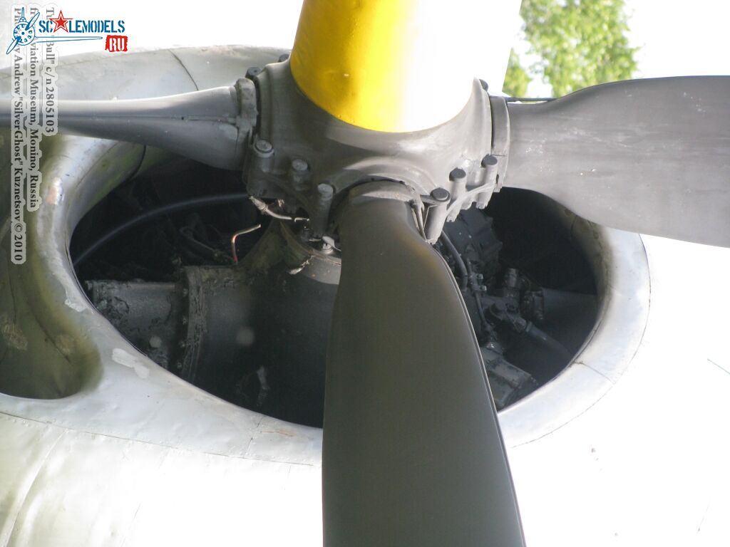 tu-4_0127.jpg