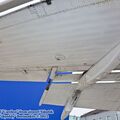 sized_IMG_5788.JPG
