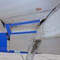 sized_IMG_5791.JPG