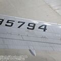 sized_IMG_5668.JPG