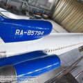 sized_IMG_5675.JPG
