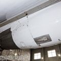 sized_IMG_5739.JPG