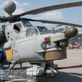 Mi-28N_Havoc_0000.jpg