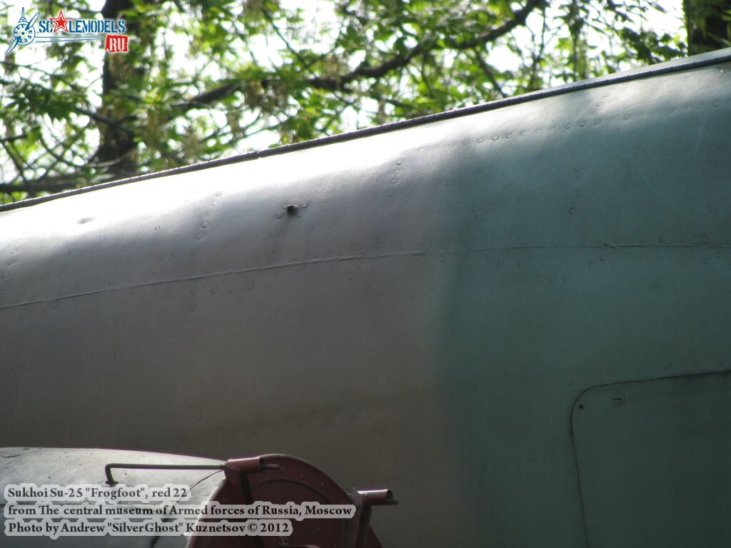 Su-25_Frogfoot_0011.jpg