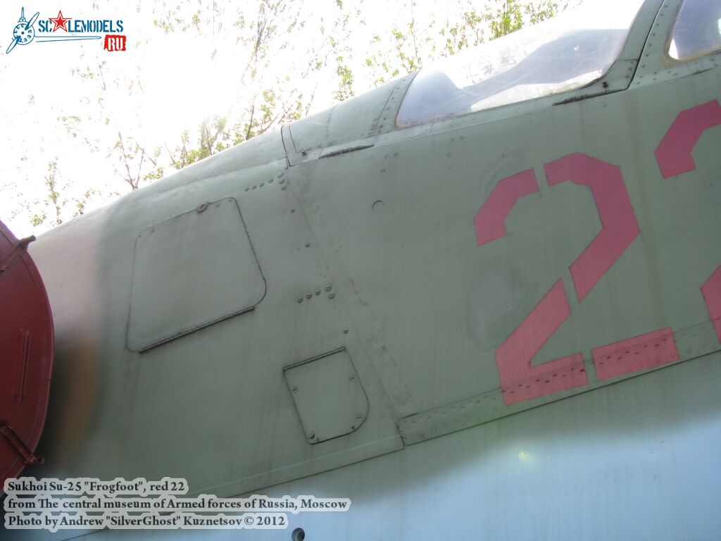Su-25_Frogfoot_0020.jpg