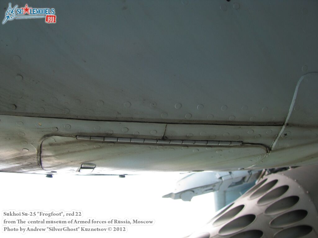 Su-25_Frogfoot_0135.jpg