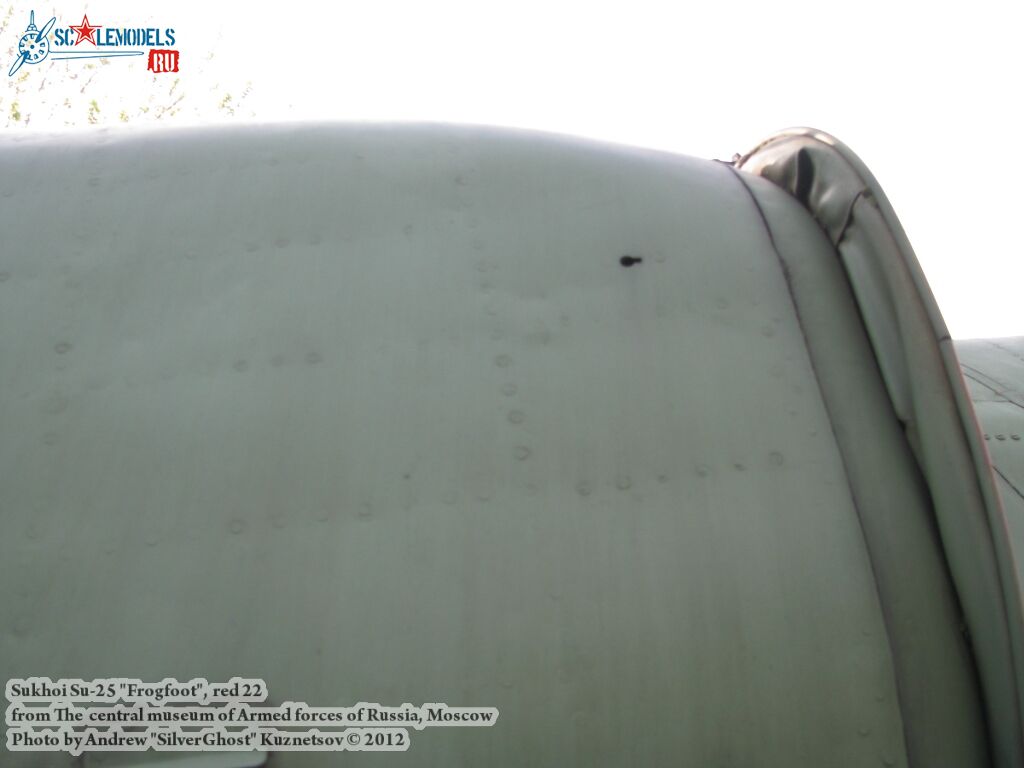 Su-25_Frogfoot_0142.jpg