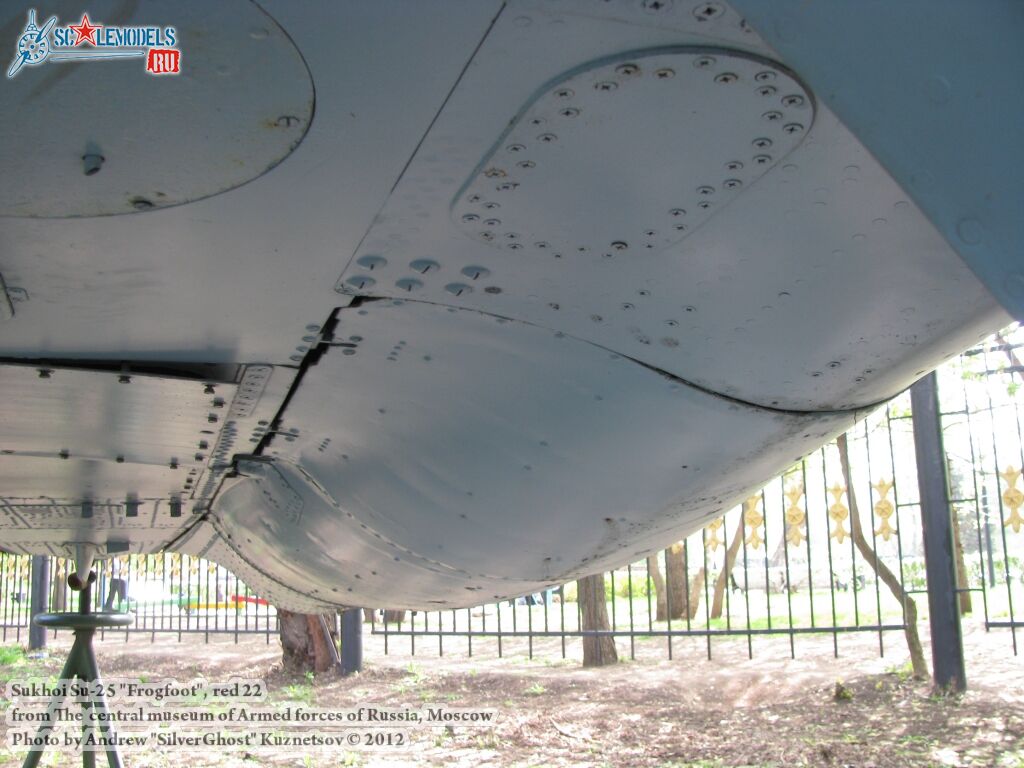 Su-25_Frogfoot_0209.jpg