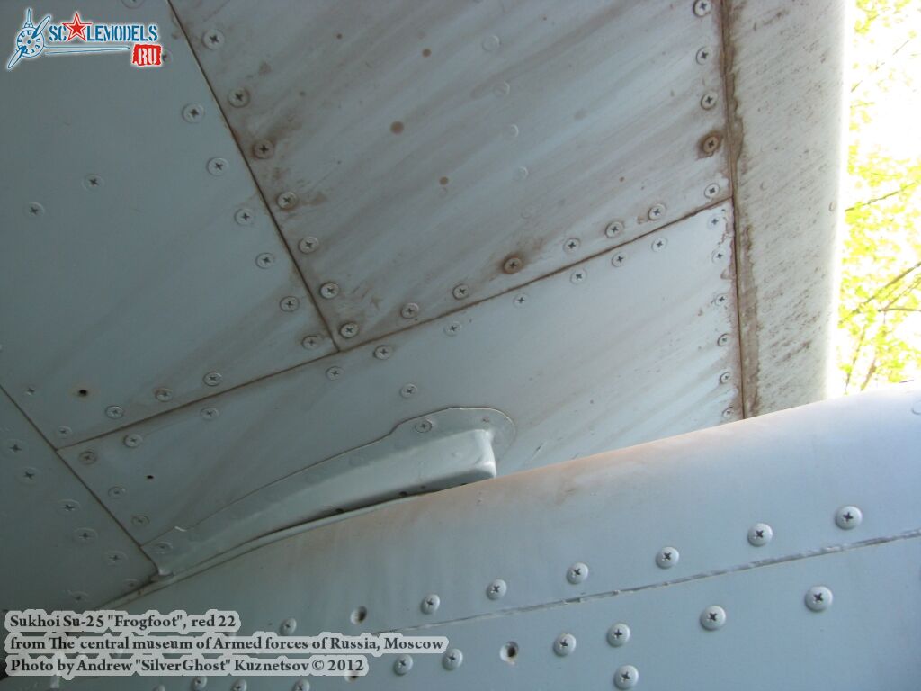 Su-25_Frogfoot_0295.jpg