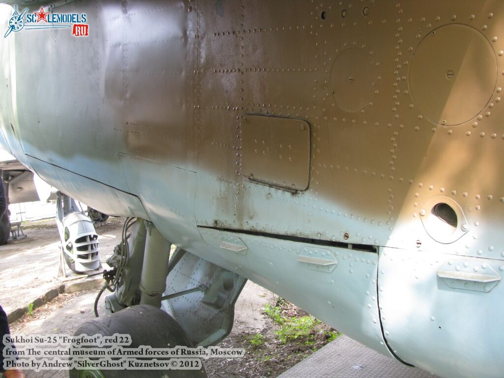Su-25_Frogfoot_0343.jpg