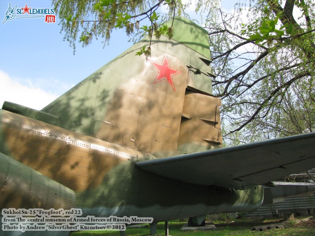 Su-25_Frogfoot_0346.jpg