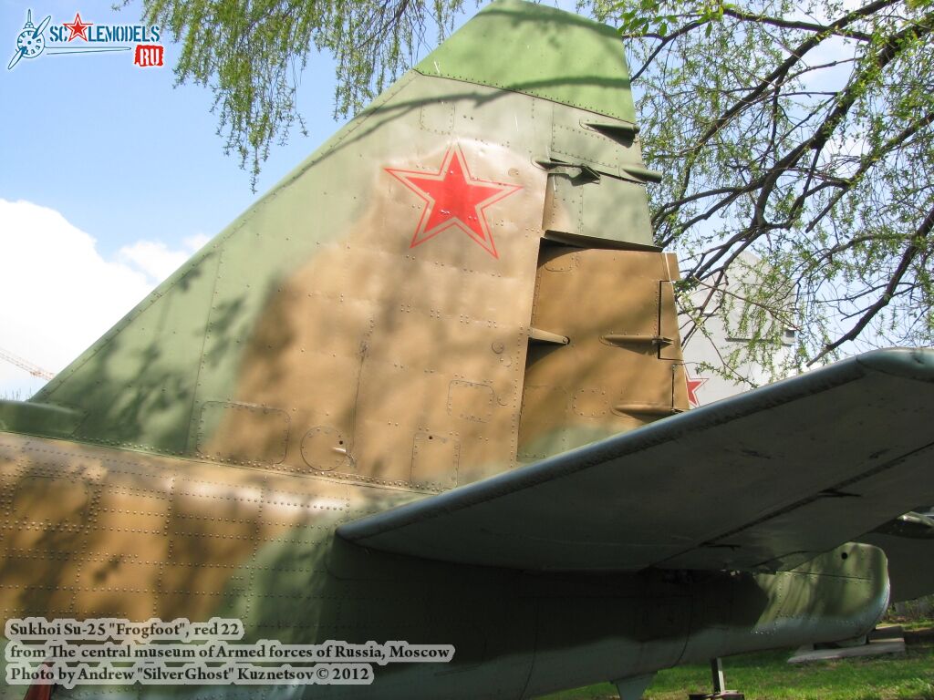 Su-25_Frogfoot_0347.jpg