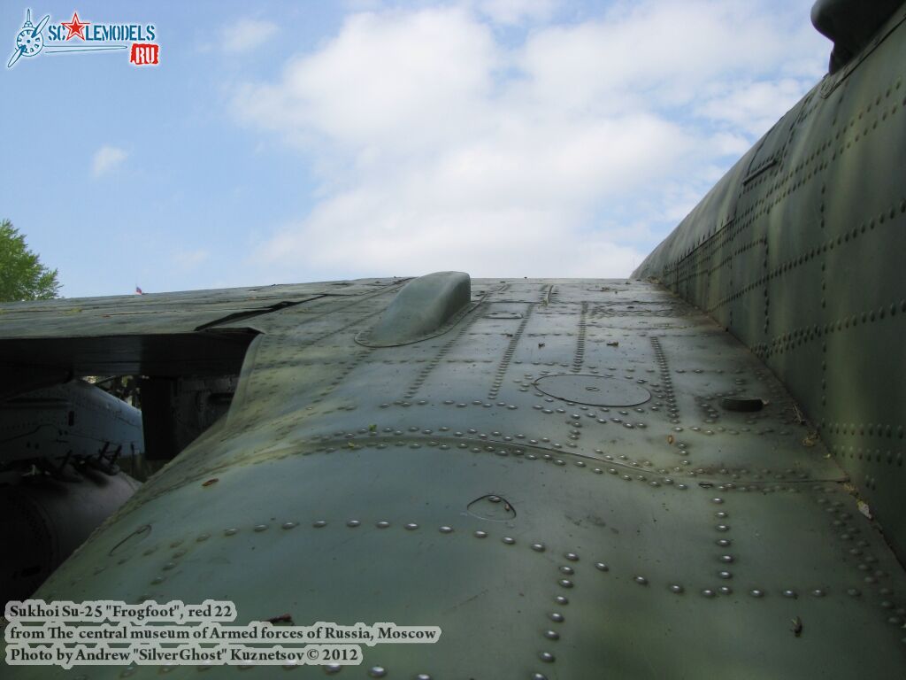 Su-25_Frogfoot_0353.jpg