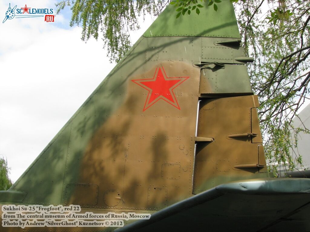 Su-25_Frogfoot_0593.jpg