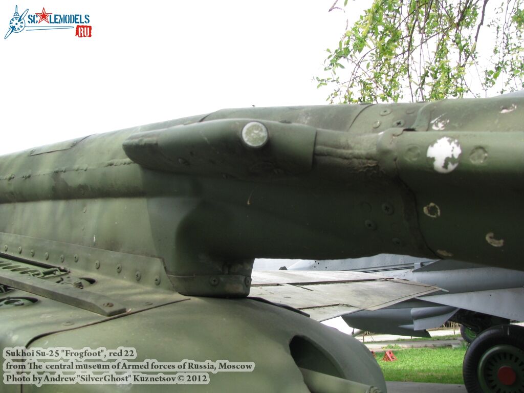 Su-25_Frogfoot_0599.jpg