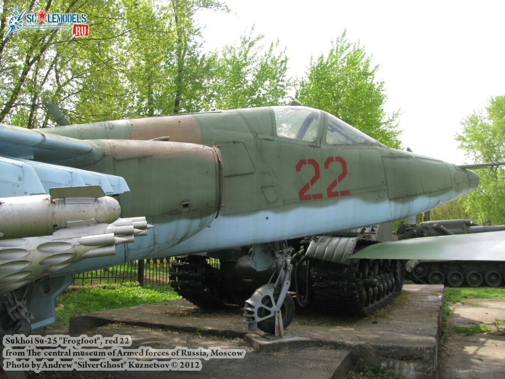 Su-25_Frogfoot_0724.jpg