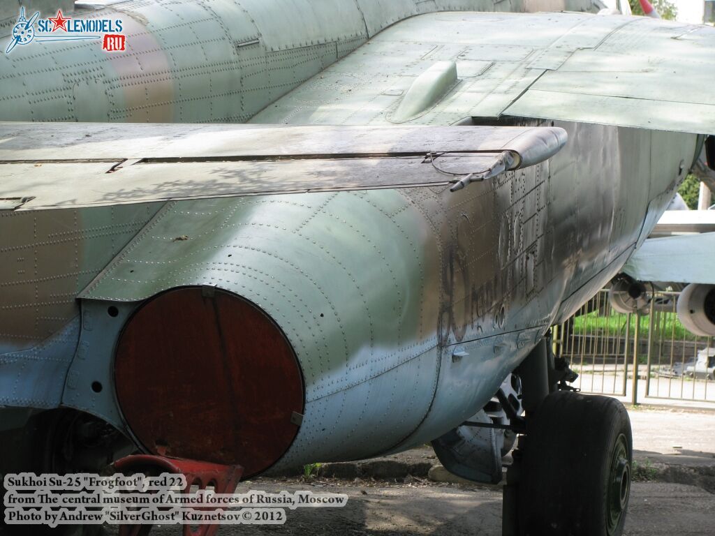 Su-25_Frogfoot_0732.jpg