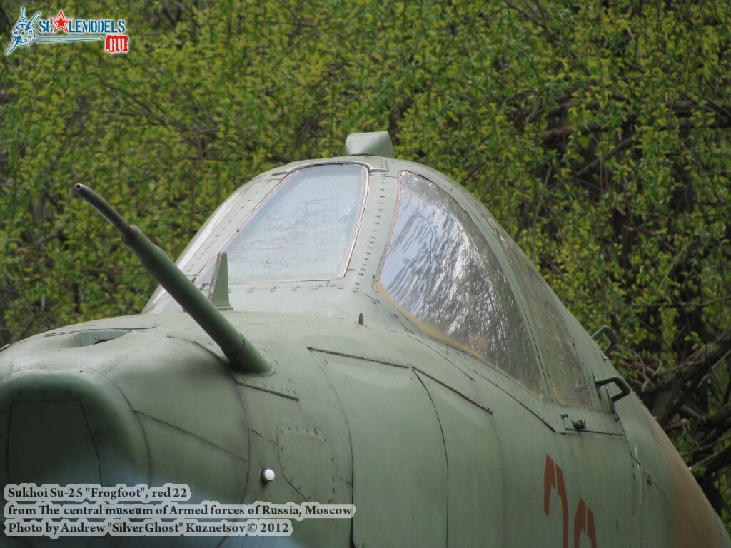 Su-25_Frogfoot_0733.jpg