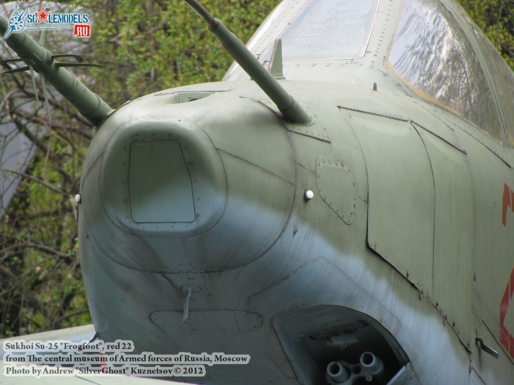 Su-25_Frogfoot_0734.jpg