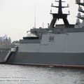 steregushchy_0223.jpg