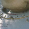 IMG_6323 (2)