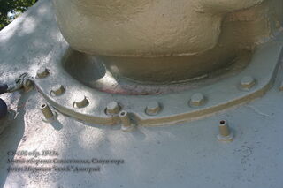 IMG_6323 (2)