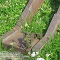 old_cannon_0015.jpg