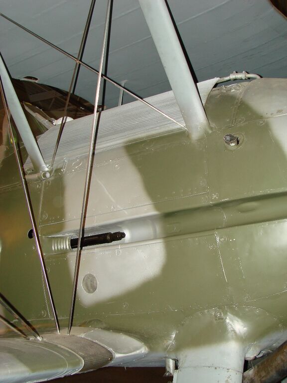 DSC08298.JPG