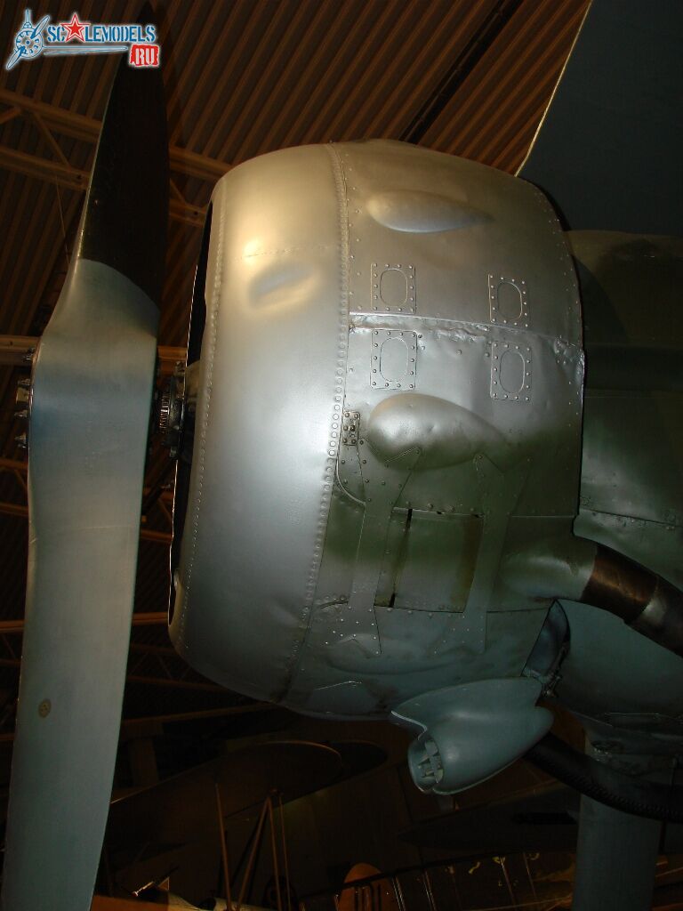 DSC08278.JPG