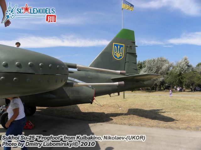 Su-25 Ukraine (20).JPG