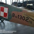 Albatros_BIIc_0008.jpg